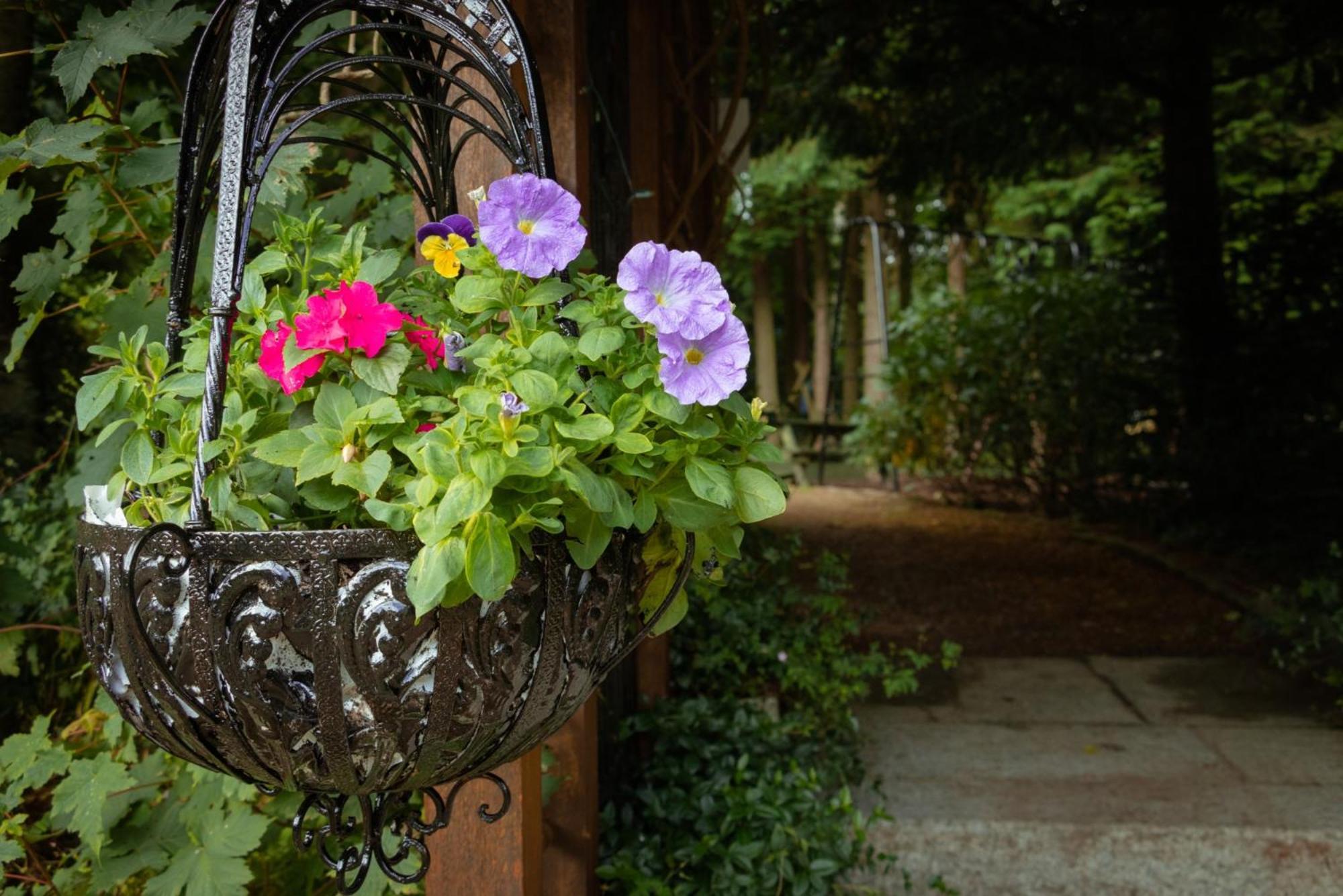 Croneybyrne Courtyard Clara Exterior foto