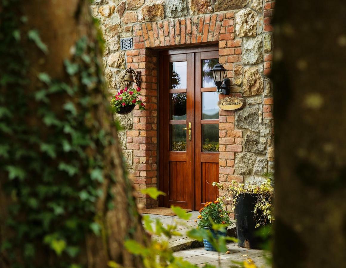 Croneybyrne Courtyard Clara Exterior foto